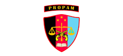 DIV-PROPAM.png